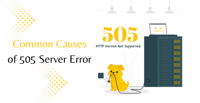 Error 505 Common Causes