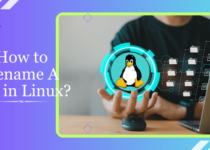 How to Rename A File in Linux