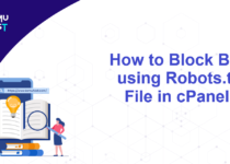 Block Bots using Robots.txt File in cPanel