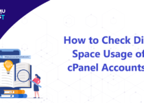 Check Disk Space Usage of cPanel Accounts