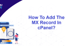 Add The MX Record In cPanel