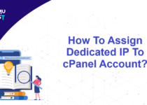 Assign Dedicated IP To cPanel Account