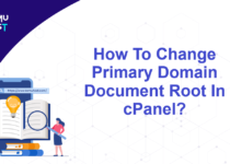 Change Primary Domain Document Root In cPanel