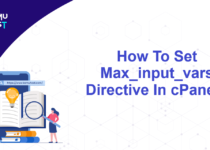 Set Max_input_vars Directive In cPanel