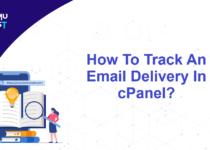 Track An Email Delivery In cPanel