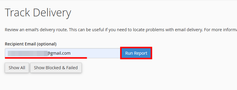 cpanel single email run report