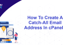 Create A CatchAll Email Address In cPanel