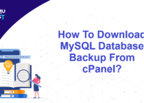 Download MySQL Database Backup From cPanel