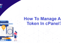 How To Manage API Token In cPanel