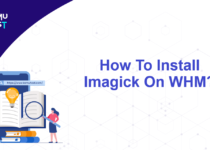 Install Imagick On WHM