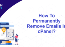 Permanently Remove Emails In cPanel