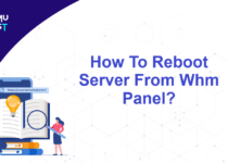 Reboot Server From Whm Panel