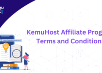 Affiliate Program Terms and Conditions