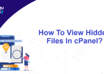 View Hidden Files In cPanel