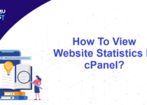 View Website Statistics In cPanel