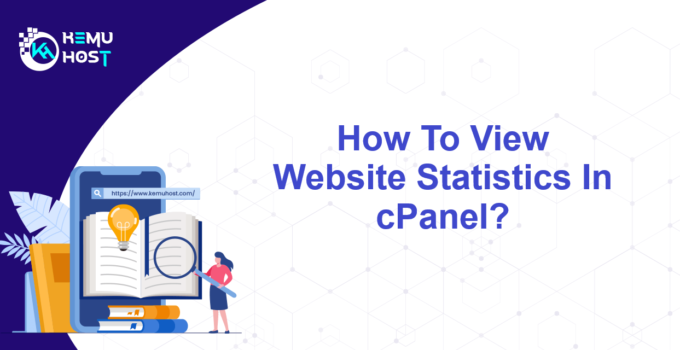 View Website Statistics In cPanel