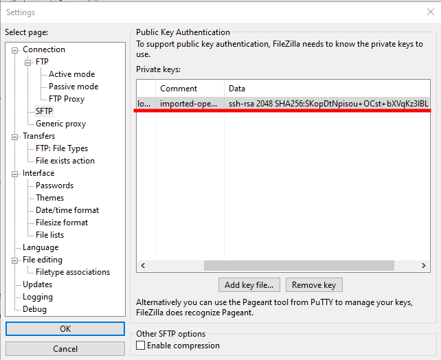 filezilla file imported